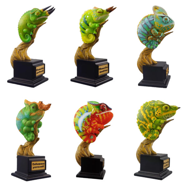 |Toy・Cargo| Chameleon Story Vol.1