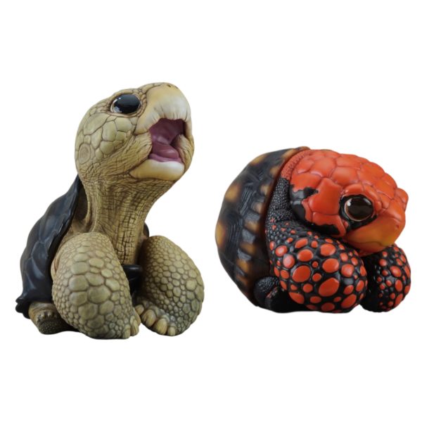 |Toy・Cargo| DUNDUN ZOO- Turtles Vol.3