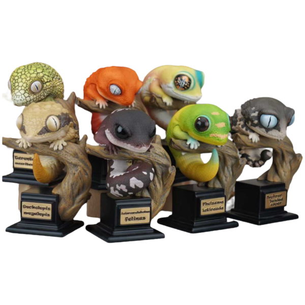 |Toy・Cargo| GECKO STORY – Vol.3